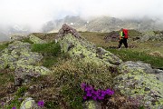 25 Alla Baita Alta Foppa 